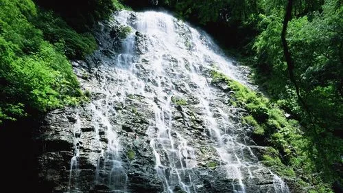 数字化环保先进